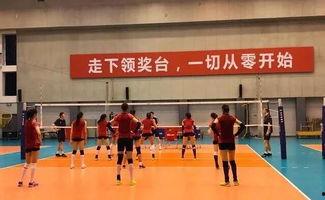 集训爆料女排视频大全最新,最新视频大全精彩瞬间回顾  第2张